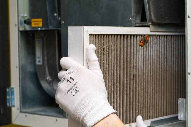Best Home Air Vent Cleaning  in Dewitt, MI